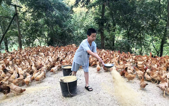 衡阳县樟木乡学区：让孩子们在暑期“动”起来 - 教育培训 - 和谐衡阳网-为领导决策服务