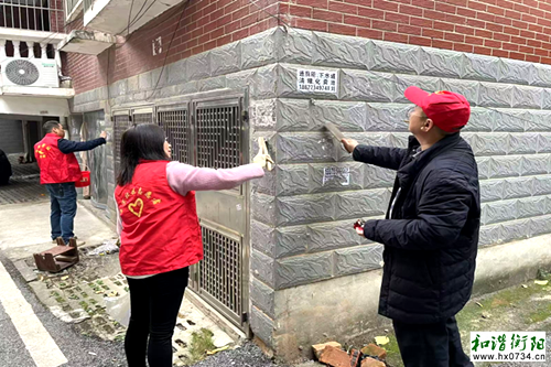 常宁市林业局一支部党员进社区铲除“牛皮癣”