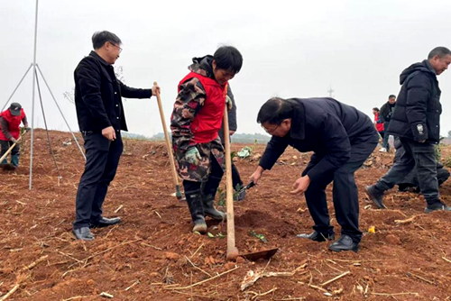 常宁：以绿色开篇，节后掀起造林绿化高潮
