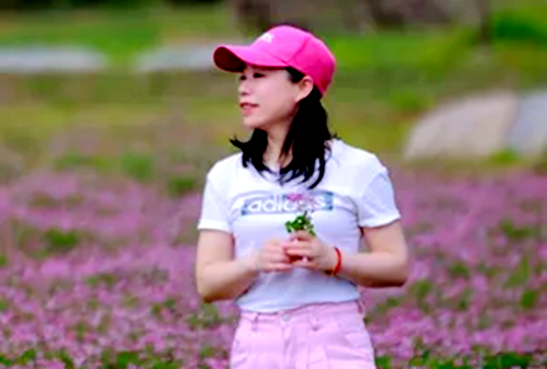 与一杯茉莉花茶的时光