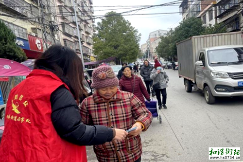 衡南县向阳街道：弘扬雷锋精神 助推法治信访