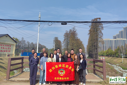 岳屏镇政协联组开展幸福河流域生态环境民主监督活动