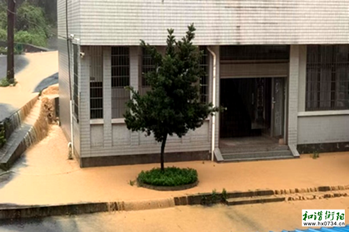 衡东县第九中学：党徽在暴雨中闪光