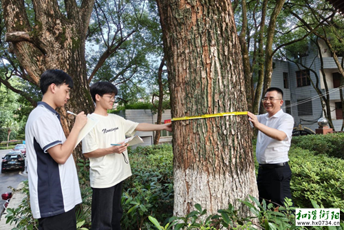 祁东县二中：开展校园植被调查实践活动