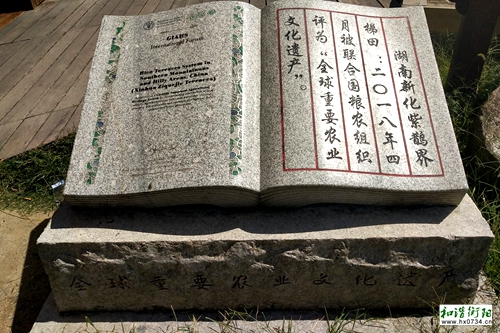 旅途｜紫鹊界梯田