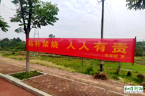 雁峰区岳屏镇:秸秆还田“变废为宝”