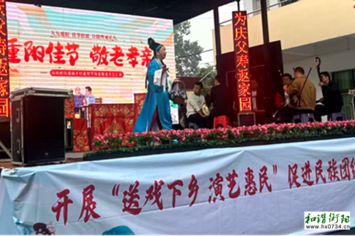 衡南县向阳桥街道:好戏送上门,温情满重阳