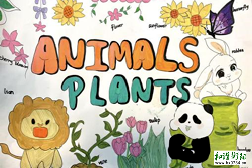 衡阳市三中:“英”为有你,“语”众不同