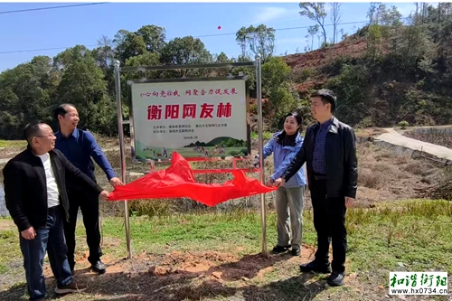 网聚合力促发展：110名网友共植“衡阳网友林”