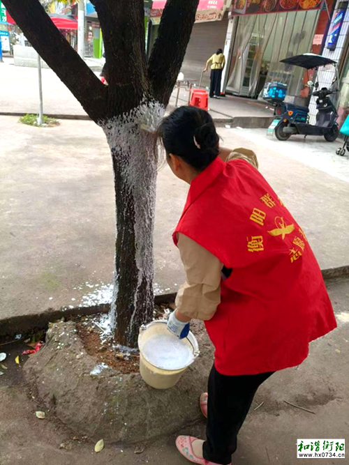 泉溪镇石狮社区：移风易俗焕新风，文明共建展新颜