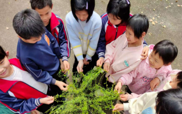 国庆完小:“荠”香校园 慢“煮”文化