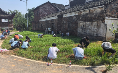 杨林镇中心学校:劳动践初心 青春护老街